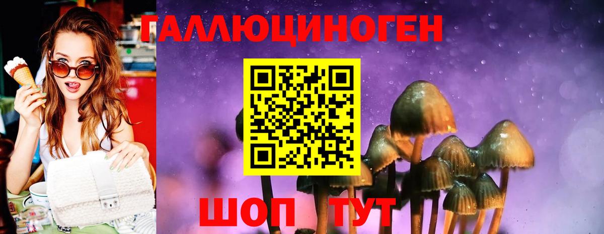Псилоцибиновые грибы прущие грибы Ревда